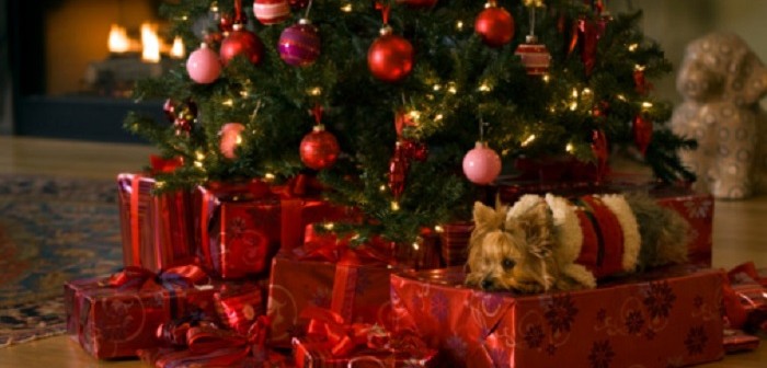 Køb iphone 6 julegave og glæd en fra familien